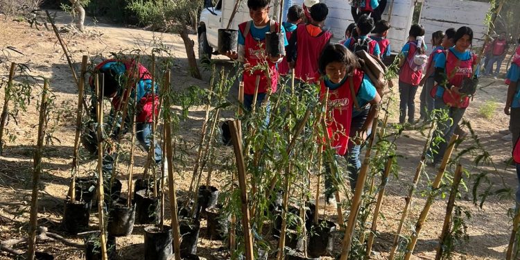100 ÁRBOLES FUERON PLANTADOS EN LA RESERVA ECOLÓGICA ESTATAL ESTERO DE SAN JOSÉ DEL CABO