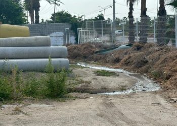 SE REALIZÓ CON ÉXITO CAMPAÑA DE VACUNACIÓN DE PERROS Y GATOS EN LA SUBDELEGACIÓN EL CAMPAMENTO