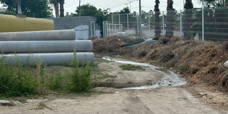 SE REALIZÓ CON ÉXITO CAMPAÑA DE VACUNACIÓN DE PERROS Y GATOS EN LA SUBDELEGACIÓN EL CAMPAMENTO