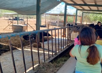 UABCS LLEVA A CABO VISITA PARA NIÑOS Y NIÑAS EN SU POSTA ZOOTECNICA