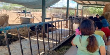 UABCS LLEVA A CABO VISITA PARA NIÑOS Y NIÑAS EN SU POSTA ZOOTECNICA