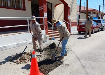 OOMSAPAS LOS CABOS CONTINÚA CON EL PROGRAMA “BACHEO TRAS FUGA “