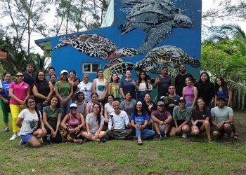 ESPECIALISTAS DE LA UABCS IMPARTEN TALLER DE PRIMEROS AUXILIOS PARA TORTUGAS MARINAS EN VERACRUZ