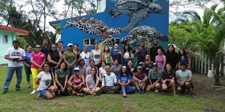 ESPECIALISTAS DE LA UABCS IMPARTEN TALLER DE PRIMEROS AUXILIOS PARA TORTUGAS MARINAS EN VERACRUZ