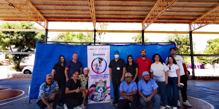 PROTECCIÓN ANIMAL HA REALIZADO DE MANERA GRATUITA 10 MIL 740 ESTERILIZACIONES EN LOS CABOS