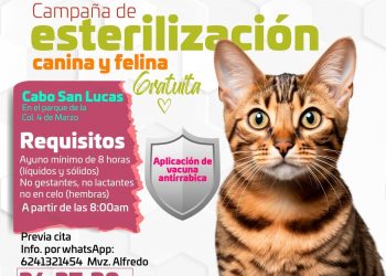 DIRECCIÓN DE SALUD INVITA A LA CAMPAÑA DE ESTERILIZACIÓN CANINA Y FELINA ESTE 30 DE AGOSTO EN CSL