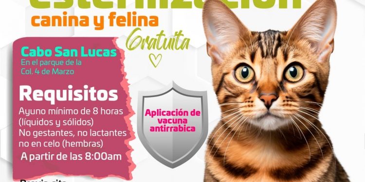 DIRECCIÓN DE SALUD INVITA A LA CAMPAÑA DE ESTERILIZACIÓN CANINA Y FELINA ESTE 30 DE AGOSTO EN CSL