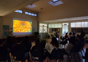 POR ROBO PASARÁ MÁS DE 3 AÑOS EN PRISIÓN