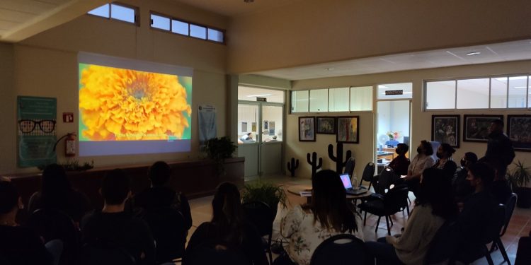 POR ROBO PASARÁ MÁS DE 3 AÑOS EN PRISIÓN