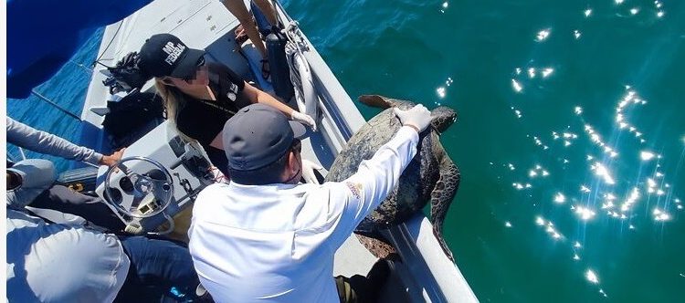 FGR INICIA CARPETA DE INVESTIGACIÓN EN CONTRA DE DOS PERSONAS POR DELITO CONTRA LA BIODIVERSIDAD