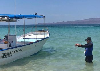 CONFIRMA COEPRIS QUE PLAYA EL TECOLOTE ESTÁ EN CONDICIONES PARA ACTIVIDADES RECREATIVAS