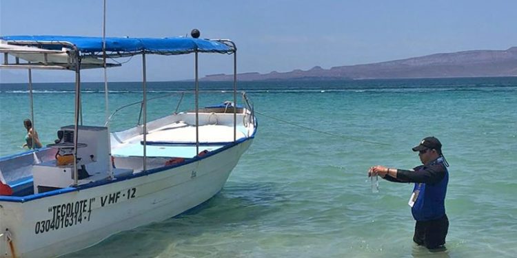 CONFIRMA COEPRIS QUE PLAYA EL TECOLOTE ESTÁ EN CONDICIONES PARA ACTIVIDADES RECREATIVAS