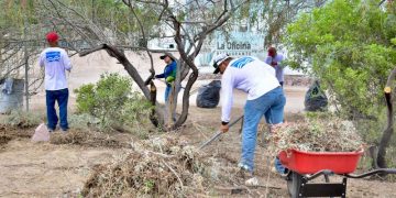 REALIZARÁ GOBIERNO ESTATAL CAMPAÑA DE DESCACHARRIZACIÓN EN LOS CABOS