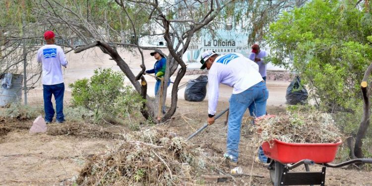 REALIZARÁ GOBIERNO ESTATAL CAMPAÑA DE DESCACHARRIZACIÓN EN LOS CABOS