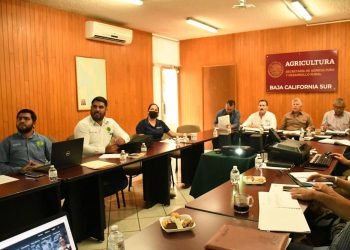 SALUD FOMENTA LA PRÁCTICA DE LACTANCIA MATERNA PARA FORTALECER EL BIENESTAR DE LA NIÑEZ