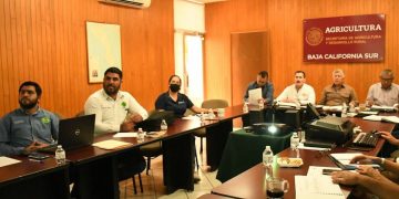 SALUD FOMENTA LA PRÁCTICA DE LACTANCIA MATERNA PARA FORTALECER EL BIENESTAR DE LA NIÑEZ