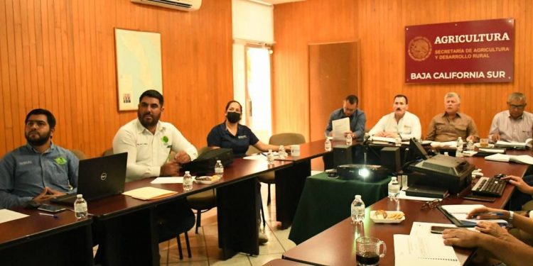 SALUD FOMENTA LA PRÁCTICA DE LACTANCIA MATERNA PARA FORTALECER EL BIENESTAR DE LA NIÑEZ