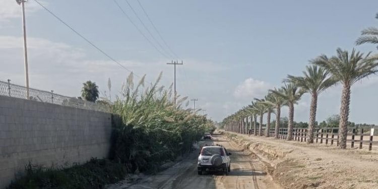 TRABAJA SERVICIOS PÚBLICOS EN LA LIMPIEZA Y MANTENIMIENTO DE VIALIDADES DEL MUNICIPIO DE LOS CABOS