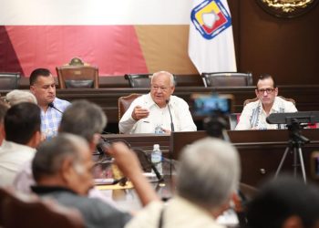 TRABAJAN JEFAS DE SECTOR DE PREESCOLAR, ESTRATEGIAS DE LA NEM