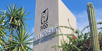 BUSCA IMSS BAJA CALIFORNIA SUR CONCIENTIZAR SOBRE CÁNCER INFANTIL