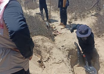 AVANCES EN LA BÚSQUEDA DE PERSONAS EN BAJA CALIFORNIA SUR