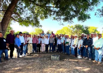 TRABAJAN JEFAS DE SECTOR DE PREESCOLAR, ESTRATEGIAS DE LA NEM