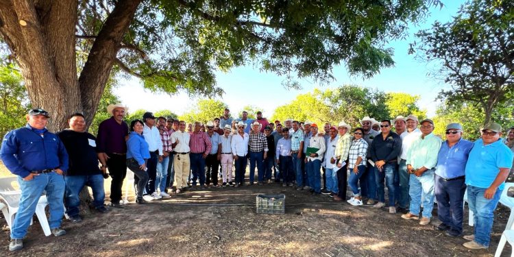 TRABAJAN JEFAS DE SECTOR DE PREESCOLAR, ESTRATEGIAS DE LA NEM