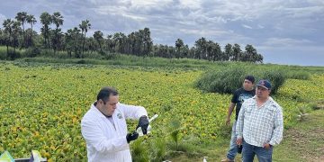 GARANTIZA  GOBIERNO DE LOS CABOS EL MONITOREO DE LA CALIDAD DEL AGUA EN EL ESTERO JOSEFINO.