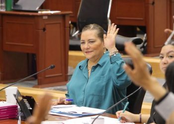 INE DA PRIMEROS PASOS PARA ORGANIZAR LA PRIMERA ELECCIÓN DE JUECES, MAGISTRADOS Y MINISTROS DEL PODER JUDICIAL DE LA FEDERACIÓN: GUADALUPE TADDEI