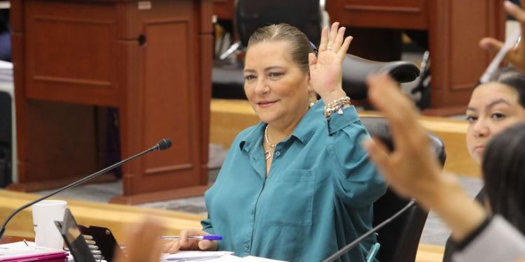 INE DA PRIMEROS PASOS PARA ORGANIZAR LA PRIMERA ELECCIÓN DE JUECES, MAGISTRADOS Y MINISTROS DEL PODER JUDICIAL DE LA FEDERACIÓN: GUADALUPE TADDEI