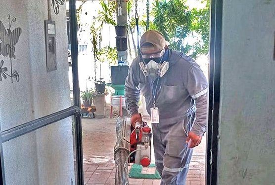 IMPARTE CECYTE BCS TALLERES DE BIENESTAR EMOCIONAL A COMUNIDAD EDUCATIVA