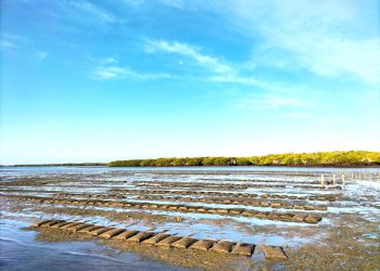 PARTICIPA SSPE EN DESFILE CÍVICO MILITAR DE LA INDEPENDENCIA DE MÉXICO