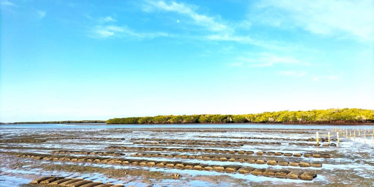 PARTICIPA SSPE EN DESFILE CÍVICO MILITAR DE LA INDEPENDENCIA DE MÉXICO