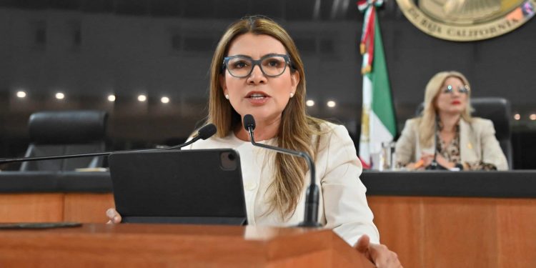 UNA BURDA MENTIRA QUE MÉXICO TIENE MEJOR SISTEMA DE SALUD QUE DINAMARCA: DIPUTADA GUADALUPE SALDAÑA