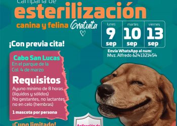 DIRECCIÓN MUNICIPAL DE SALUD CONTINUARA CON CAMPAÑA DE ESTERILIZACIÓN EN LA COLONIA 4 DE MARZO DE CSL