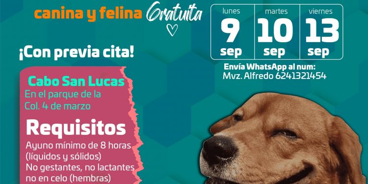 DIRECCIÓN MUNICIPAL DE SALUD CONTINUARA CON CAMPAÑA DE ESTERILIZACIÓN EN LA COLONIA 4 DE MARZO DE CSL