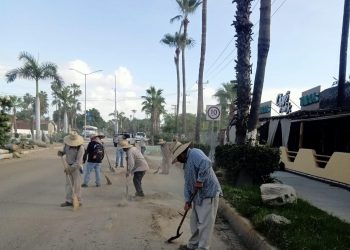 TRABAJA SERVICIOS PÚBLICOS EN LA LIMPIEZA DE VIALIDADES EN SJC, TRAS EL PASO DE LA TORMENTA ILEANA