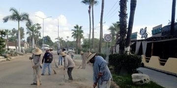 TRABAJA SERVICIOS PÚBLICOS EN LA LIMPIEZA DE VIALIDADES EN SJC, TRAS EL PASO DE LA TORMENTA ILEANA