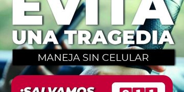 REALIZÓ ZOFEMAT LOS CABOS LIMPIEZA MASIVA DE PLAYAS