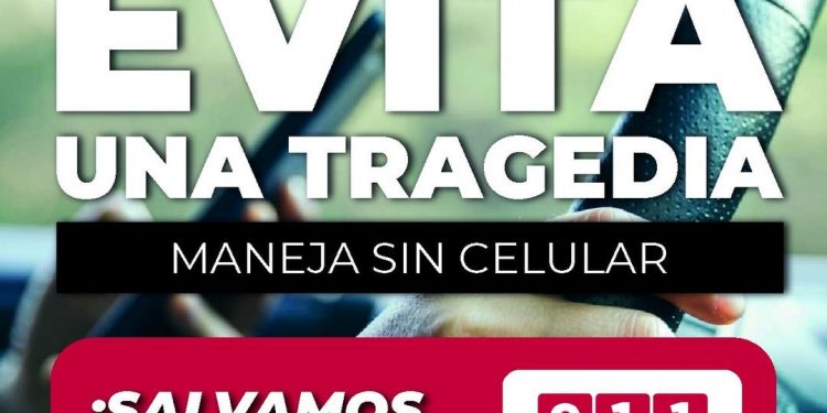 REALIZÓ ZOFEMAT LOS CABOS LIMPIEZA MASIVA DE PLAYAS