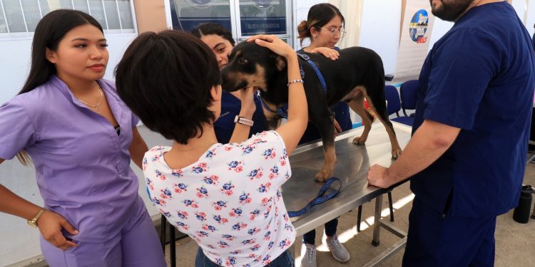 UABCS INVITA A SU FERIA DE SENSIBILIZACIÓN Y CUIDADO ANIMAL