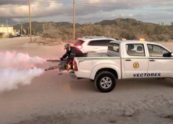 EMITE GOBIERNO DE LOS CABOS RECOMENDACIONES PARA EVITAR LA PICADURA DEL MOSQUITO TRANSMISOR DEL DENGUE
