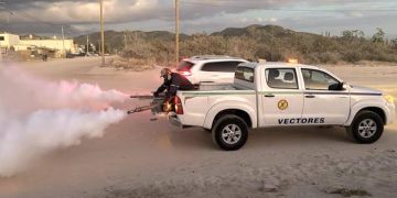 EMITE GOBIERNO DE LOS CABOS RECOMENDACIONES PARA EVITAR LA PICADURA DEL MOSQUITO TRANSMISOR DEL DENGUE