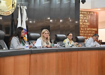 UNA BURDA MENTIRA QUE MÉXICO TIENE MEJOR SISTEMA DE SALUD QUE DINAMARCA: DIPUTADA GUADALUPE SALDAÑA