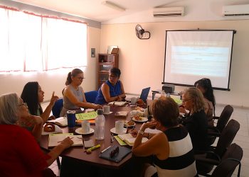 TRABAJAN JEFAS DE SECTOR DE PREESCOLAR, ESTRATEGIAS DE LA NEM