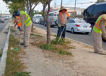 REFUERZA SERVICIOS PÚBLICOS EL MANTENIMIENTO EN CAMELLONES