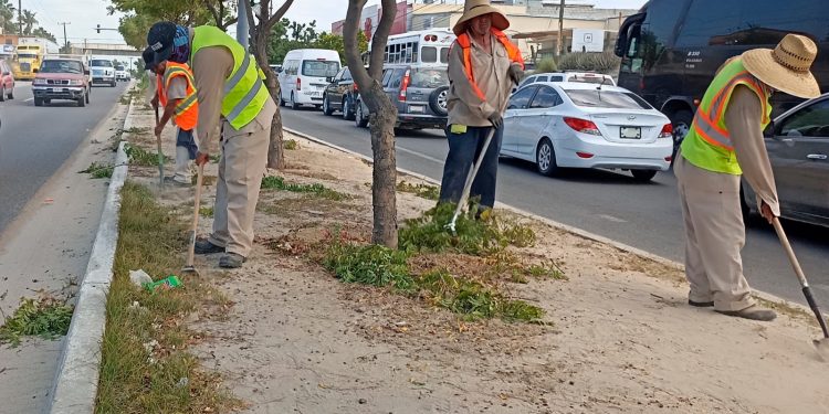 REFUERZA SERVICIOS PÚBLICOS EL MANTENIMIENTO EN CAMELLONES