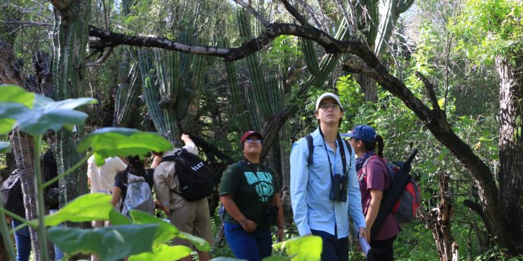 INVITAN AL SEGUNDO FESTIVAL DE AVES DEL SANTUARIO DE LOS CACTUS EN EJIDO EL ROSARIO