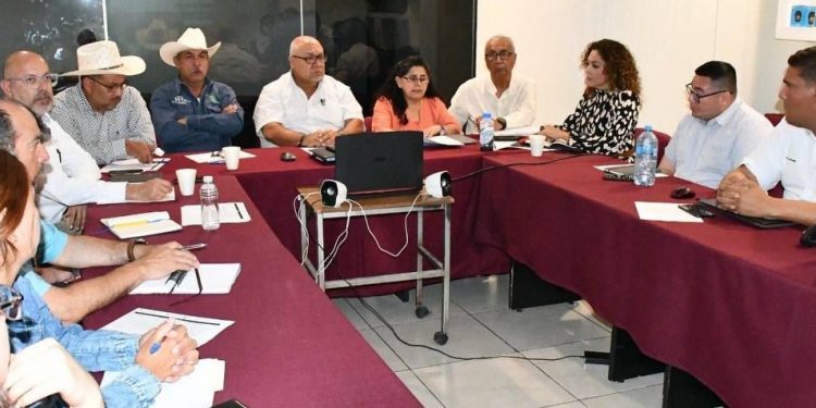 CELEBRAN EN BCS PRIMERA SESIÓN DE LA RED NACIONAL DE INSTANCIAS ESTATALES DE MONITOREO Y EVALUACIÓN