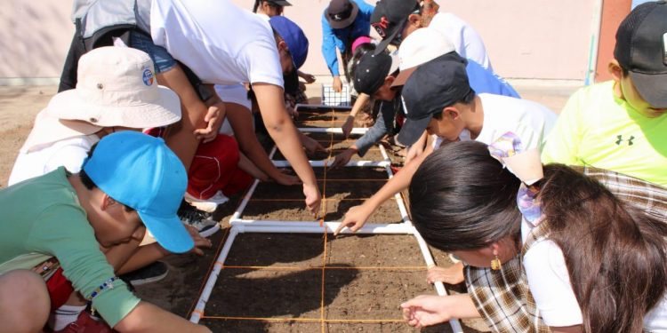 APLICAN PROGRAMA DE HUERTOS ESCOLARES EN 10 ESCUELAS DE LA PAZ Y LOS CABOS